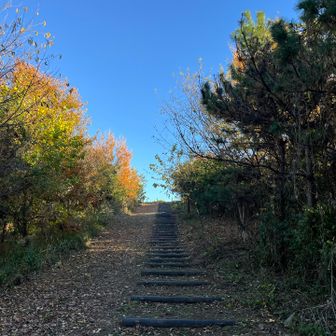 これぞ頂上への道！