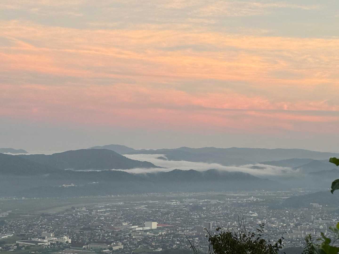うんのカイがお見事👏