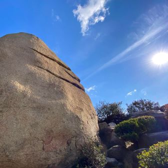 ニコニコ岩でゴミチェック☑️
今日が1年で1番多くの人を頭に乗せる日？
朝からお疲れ様でした🙇‍♂️