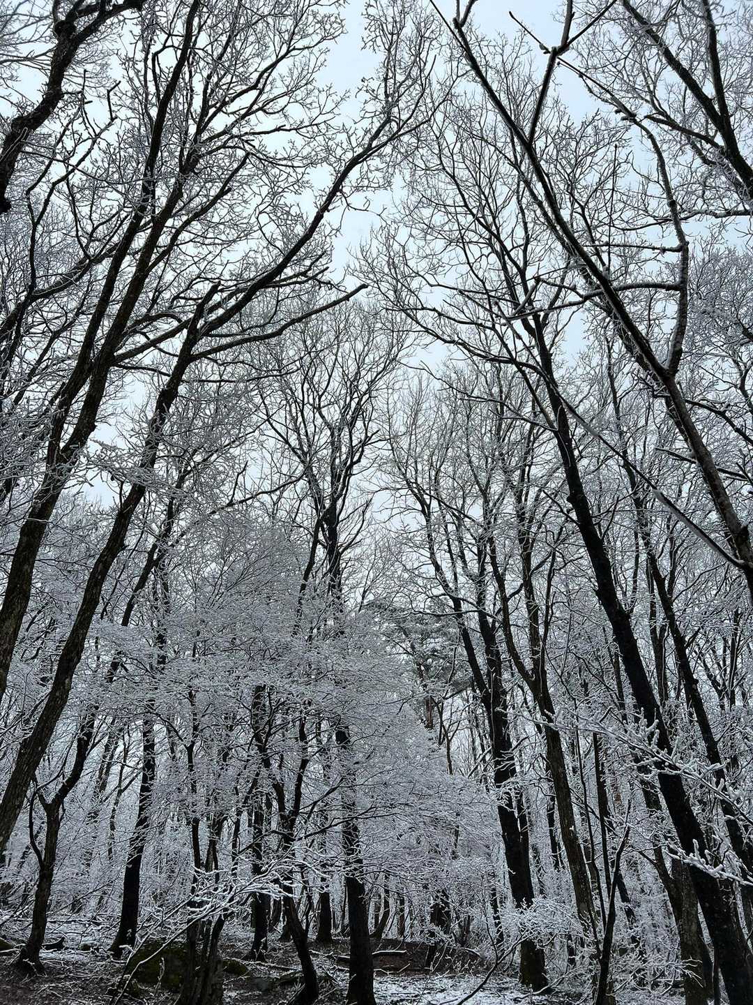 もう、最初からなかなか進めない📷