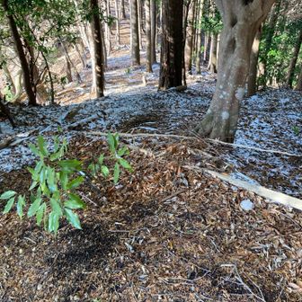 次に向かうぜ(* 'ᵕ' )☆