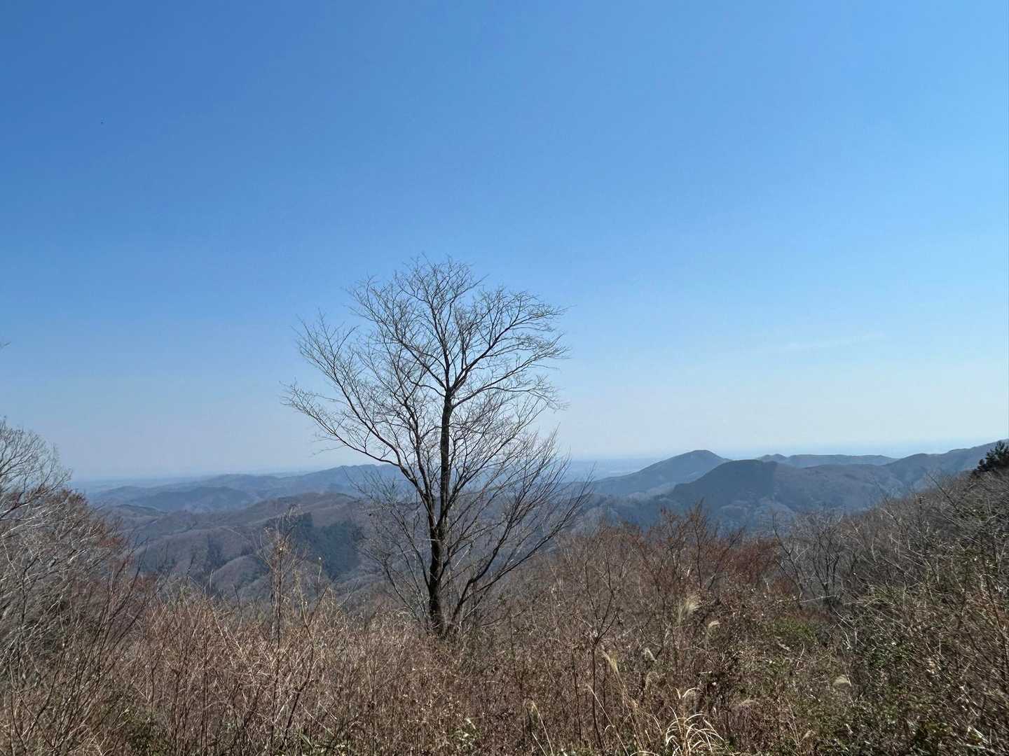 雨巻山山頂からの景色
たくさんの人で賑わっていました