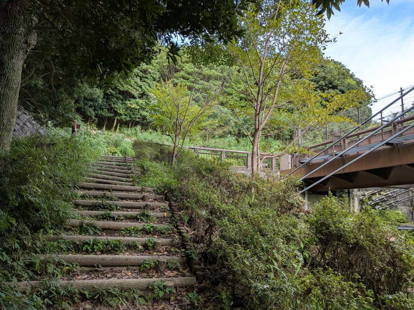 最後の力を振り絞って階段を登る…