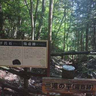 湯壺跡。以前はここから温泉が出ていた…らしい。ここで折り返して周回ルート。