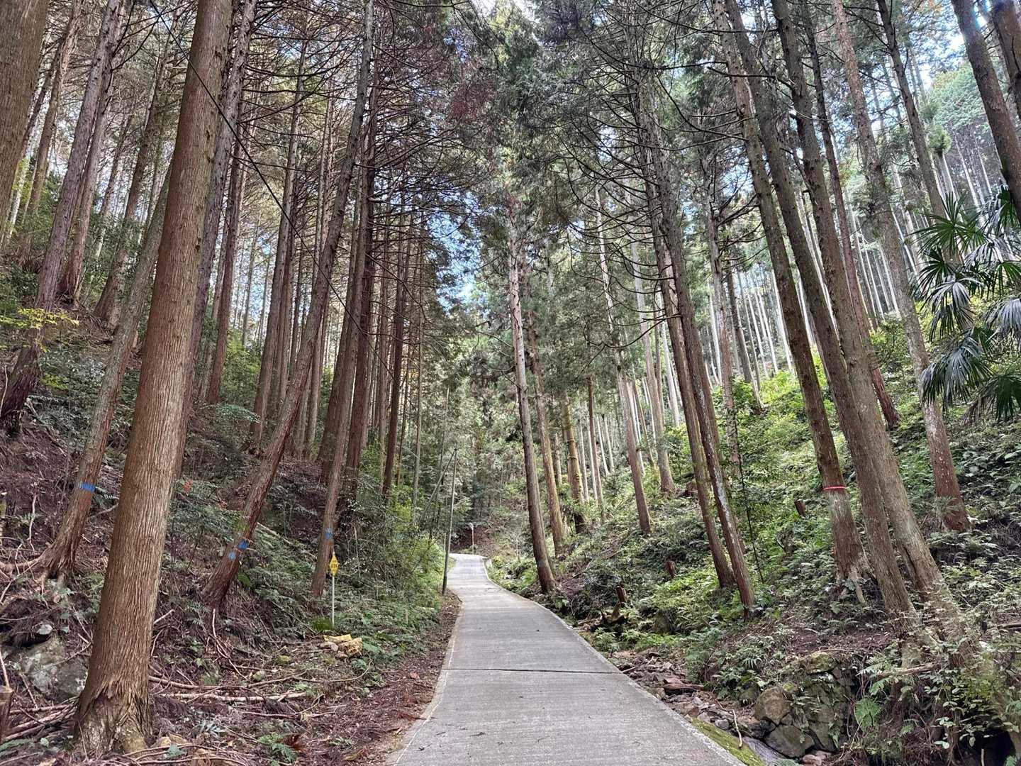 いよいよ登り出しです⛰️