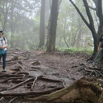 【地蔵谷をきれいに安全に】ボランティアでご夫婦で活動しておられます