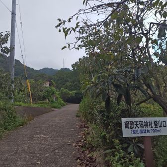 綱敷天満神社登山口へ下りてきました