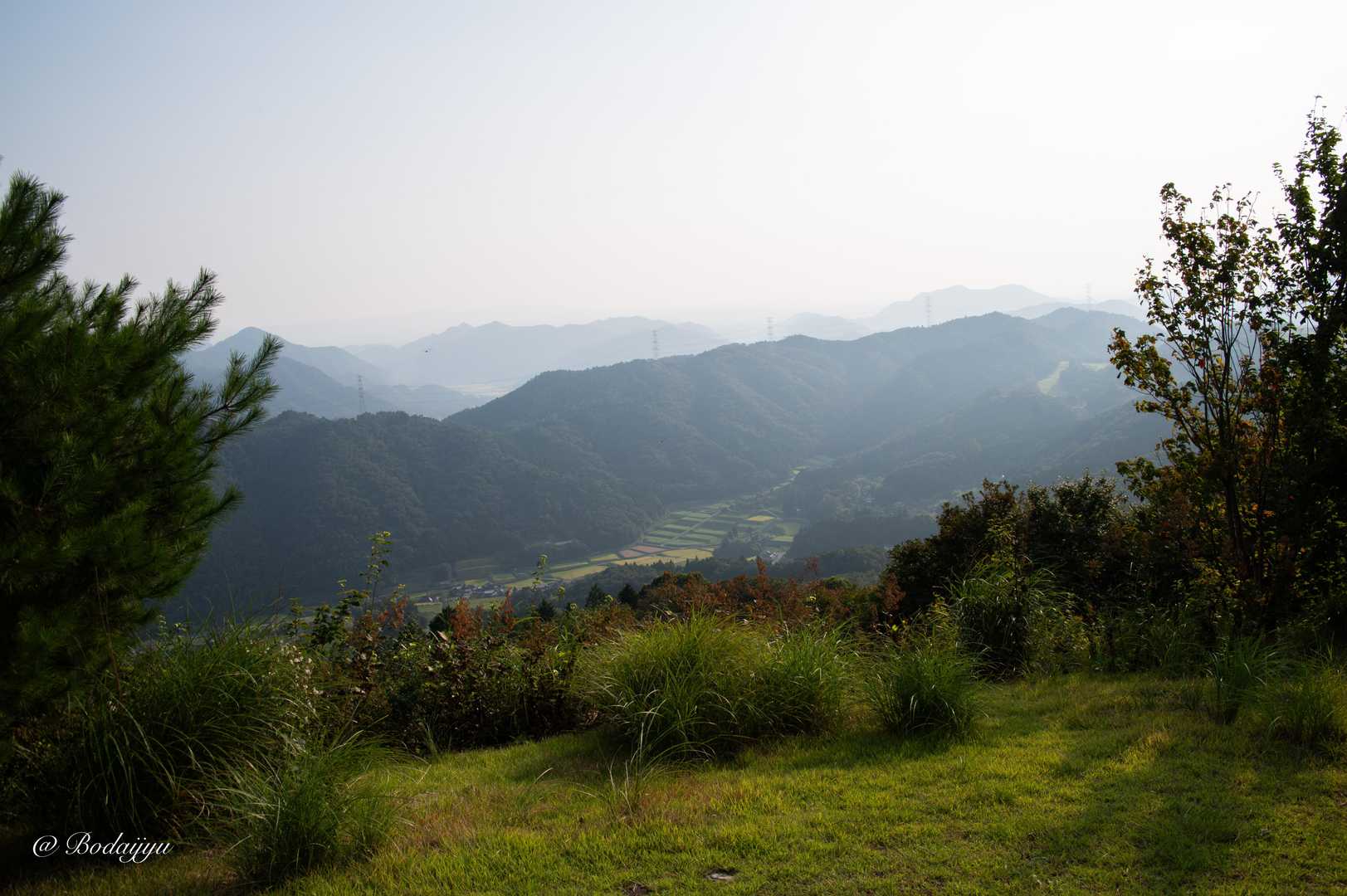上の山-大野山 周回コースの写真