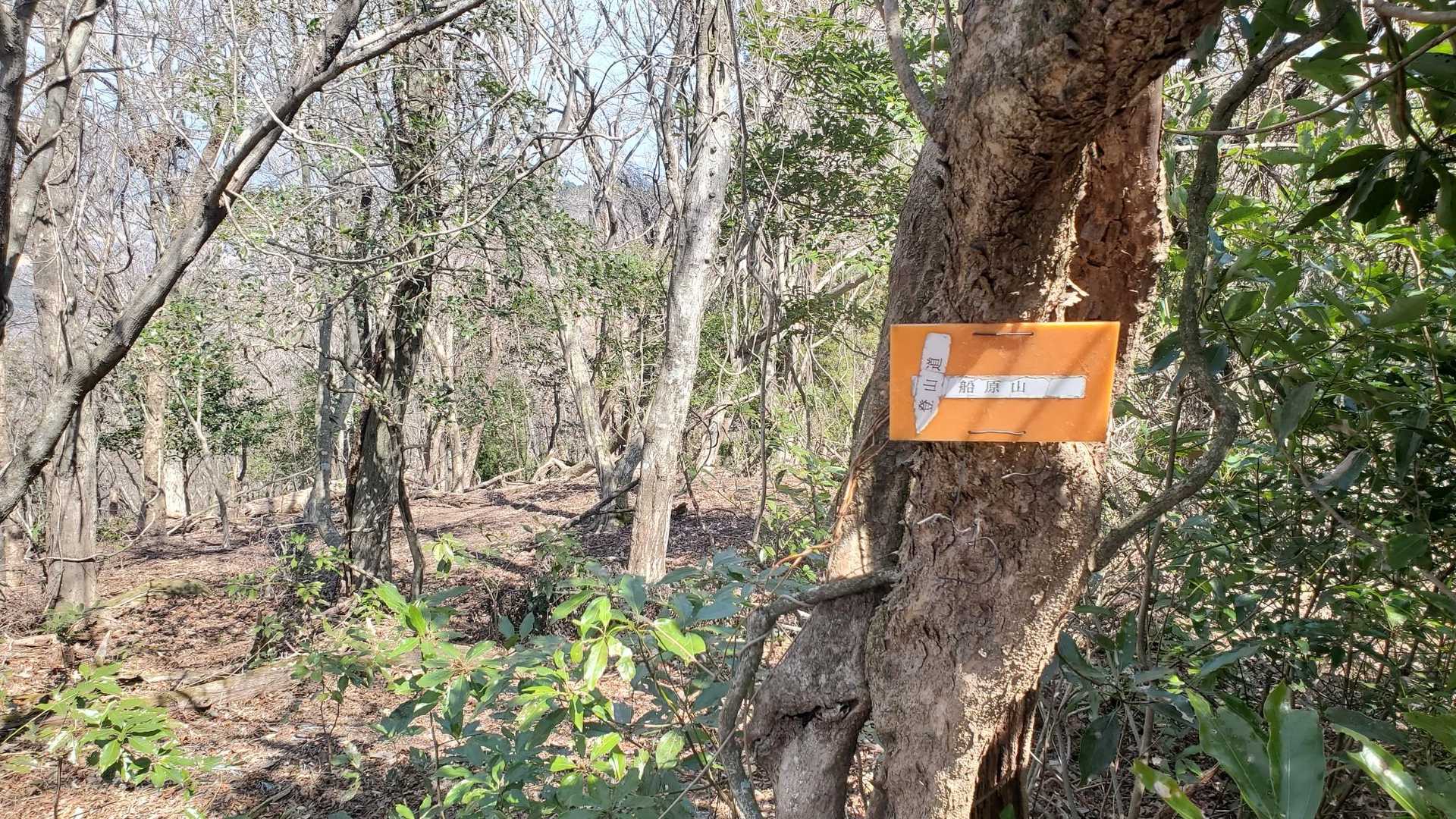 志高湖畔バス停-船原山-立石山 周回コースの写真