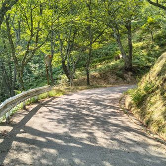 この辺りになると沿道から建物もなくなってきました。。