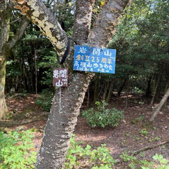 岩間山に到着。眺望はない。