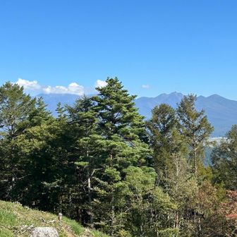 八ヶ岳　樹木が元気すぎていつか見えなくなるかも