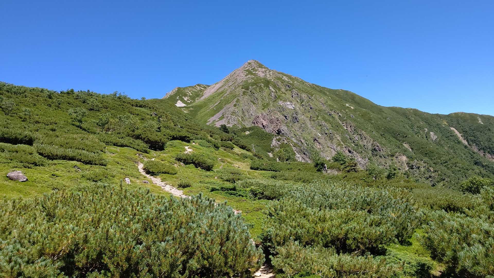 見える見える上河内岳。