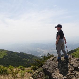 さしみちゃん(*´∀｀*)