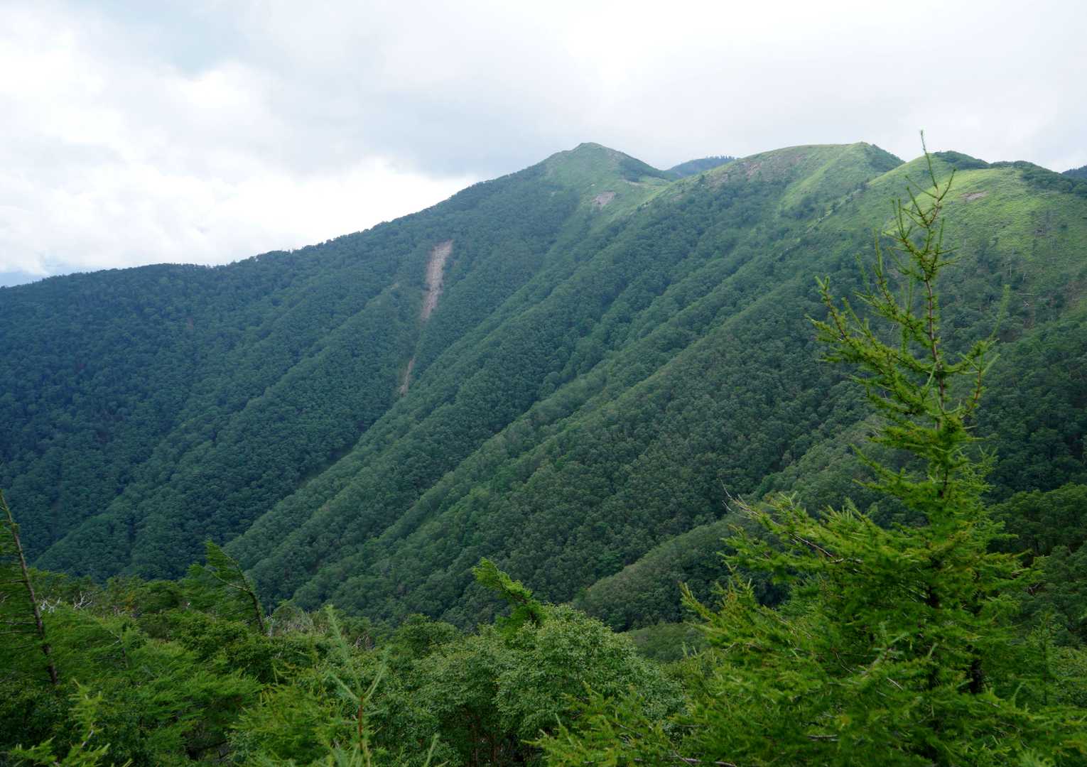 白根隠山方面