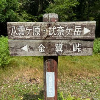 八雲ヶ原目指します