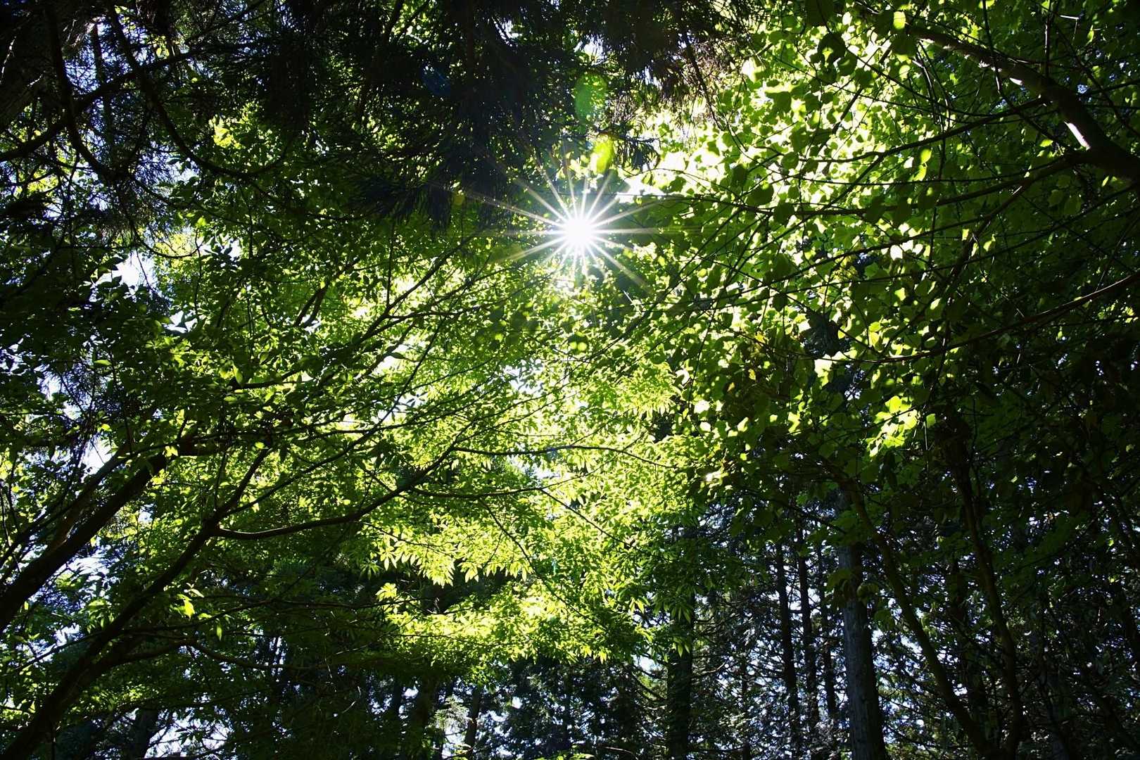 新緑💚照らす☀も見ながら😄