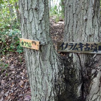 サツキの案内に従うと