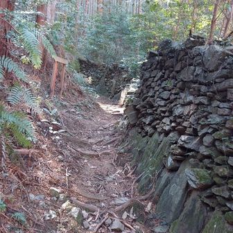 舗装路に出る直前に石垣。なんやこれ？