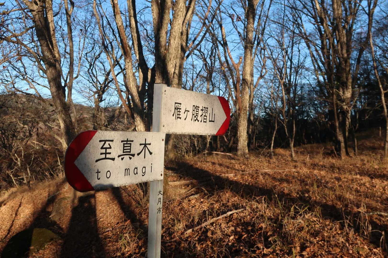 道迷いな心配はありません