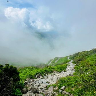 ガスが上がってきてるよー