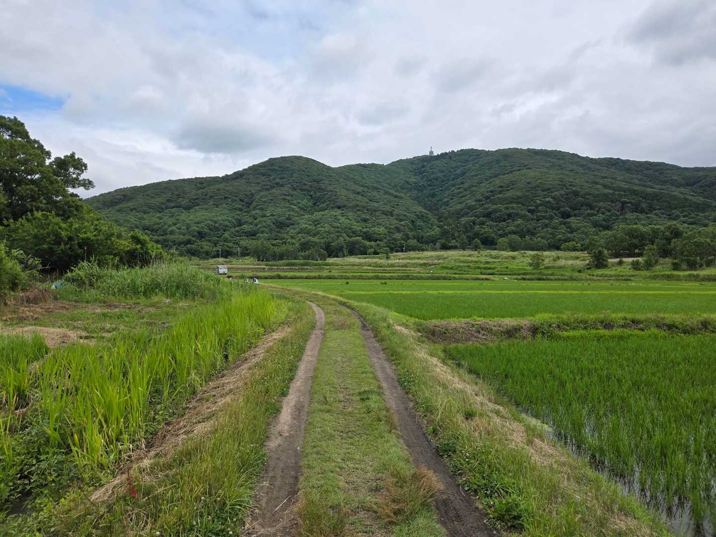 久し振りに宝篋山に登りました。曇り空で、 / wanisanさんの