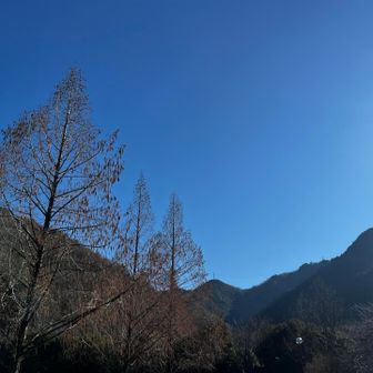 雲ひとつない百々ヶ峰でした🙏
また明日🙇‍♂️
