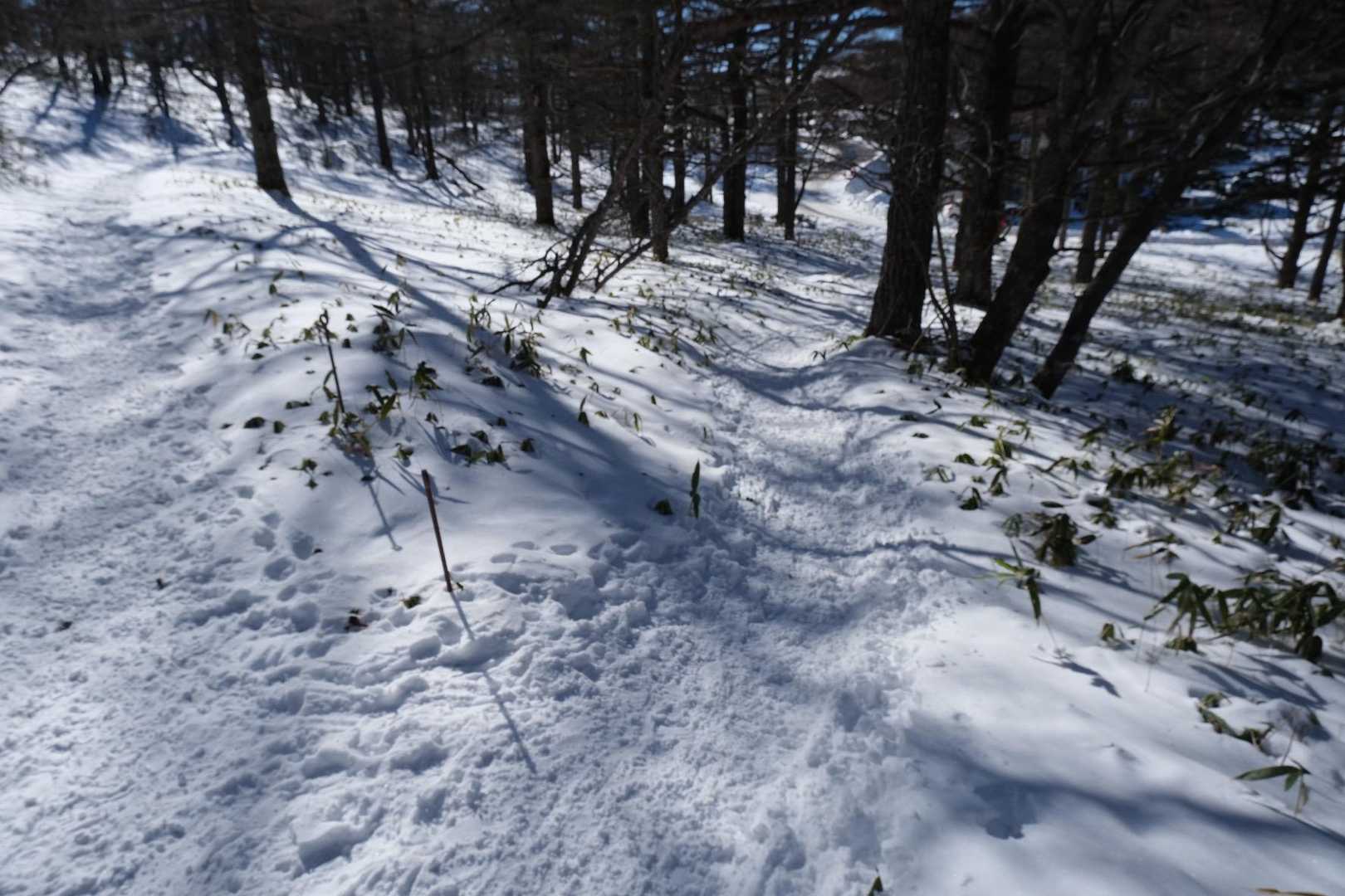 駐車場までの近道で降りた