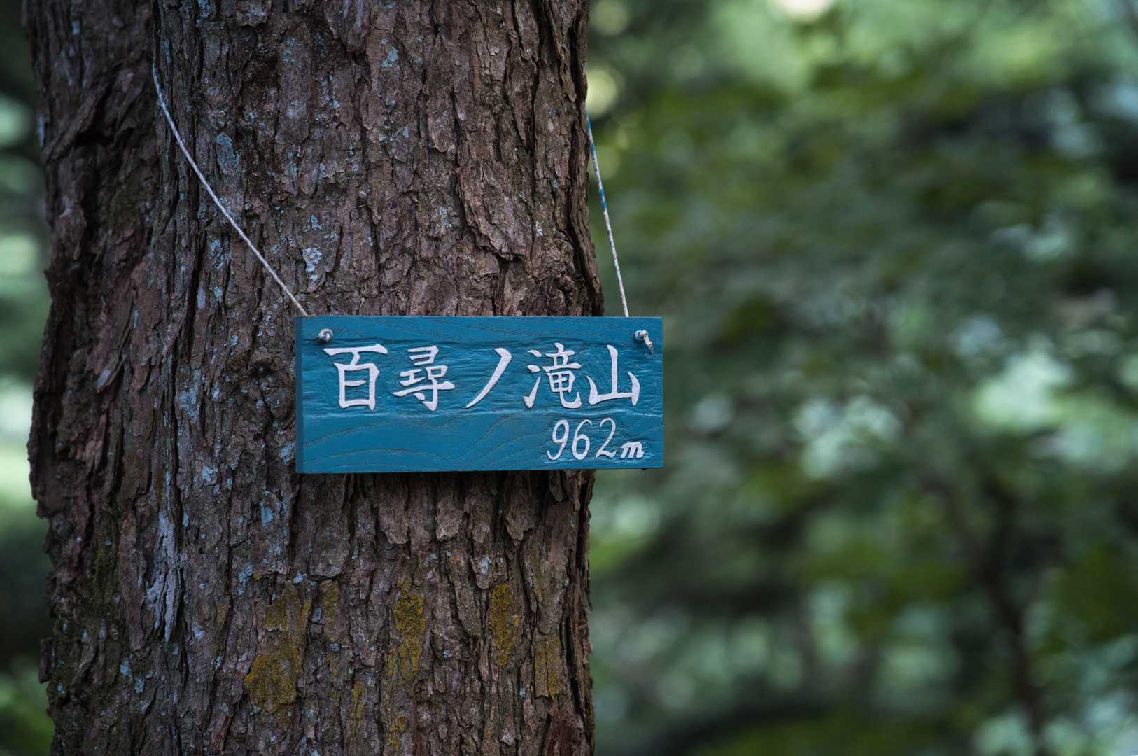 百尋ノ滝からは急坂が出てきますが、川乗橋から百尋ノ滝までゆるゆるの坂だったので、まだまだ体力には余裕がある状態。
だからと言って足のマメが悪化しては意味がないので、ペースを上げすぎないよう（足に負担をかけすぎないよう）注意して登っていきましょう。
