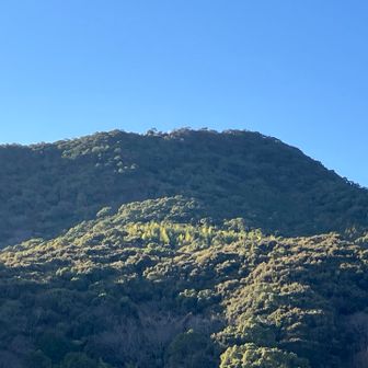 金比羅山を振り返る。
写真ではわかりませんがシルバーの鳥居が小さく見えています。