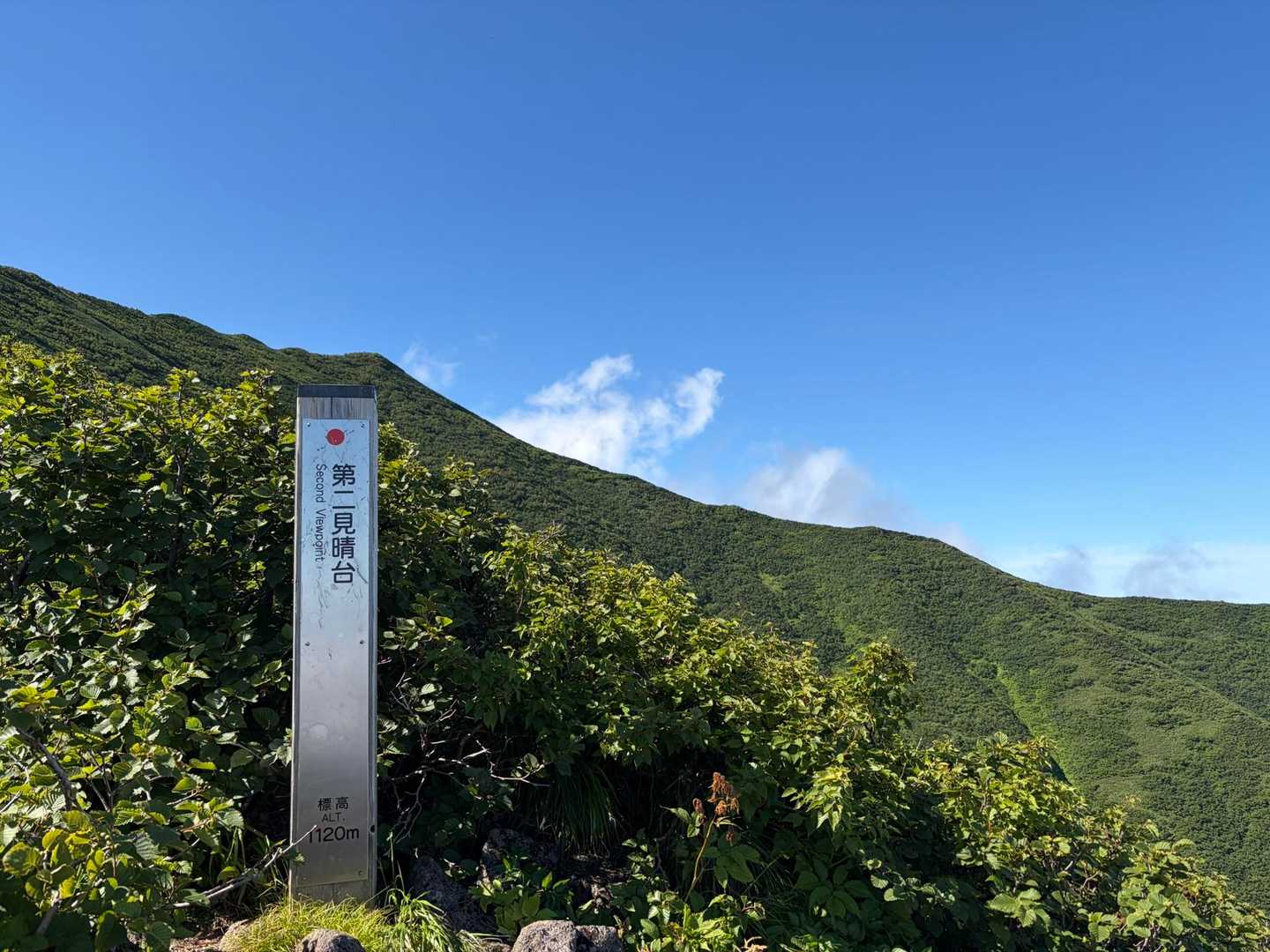 ここで中間見送り折り返しました