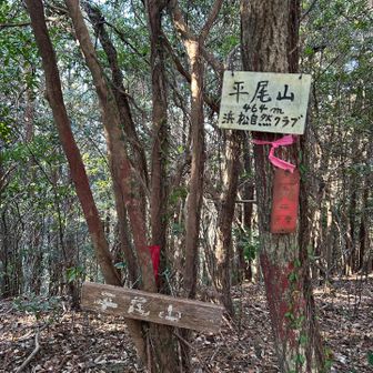 豊橋最高峰の平尾山山頂は眺望なし。