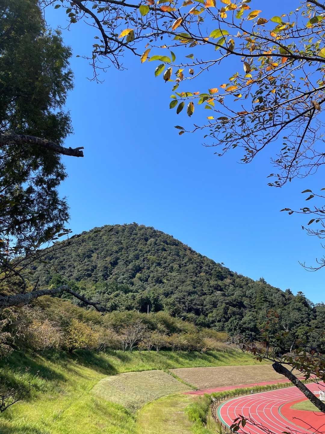 打吹山を見上げる。
