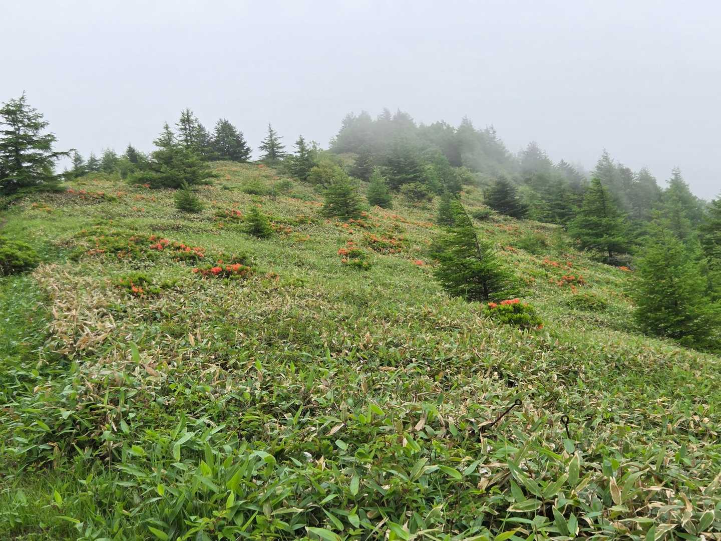 地蔵峠-湯ノ丸山-烏帽子岳-烏帽子岳登山口 周回コースの写真