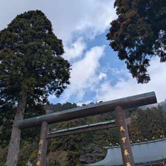 阿夫利神社下社到着
今回、登りだけ経験したかったので、この後はケーブルカーとバスを使って伊勢原駅へ