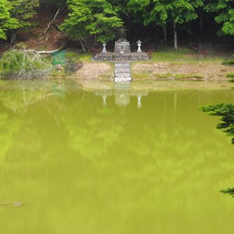 一の池。水は濁っている