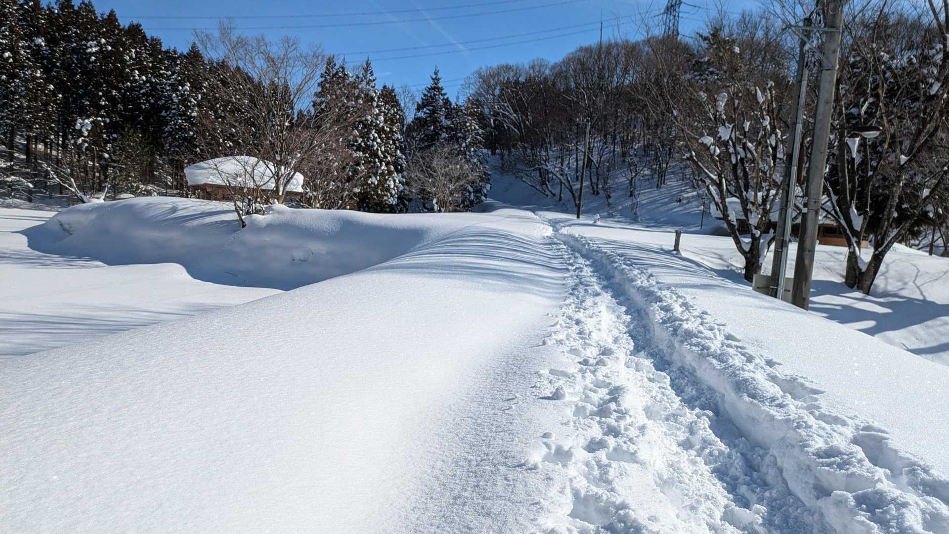 見上峠-白兀山 往復コースの写真