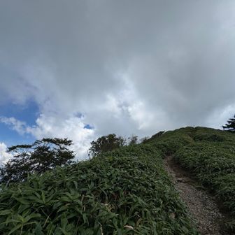 天気が怪しくなってきた