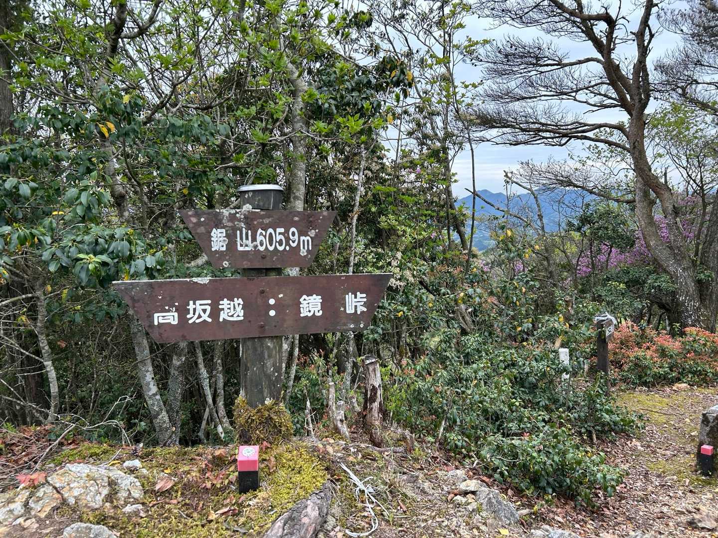 鋸山山山頂⛰️