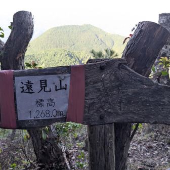 遠見山山頂。