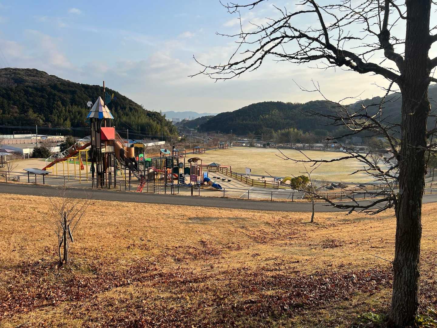 大きな遊具や大きな芝生広場とその周りにタータン(「全天候型トラック」の意)が敷かれたジョギングコースが有ります👀