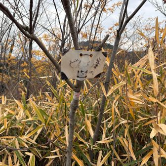 手作りの看板が良いですね🙂‍↕️