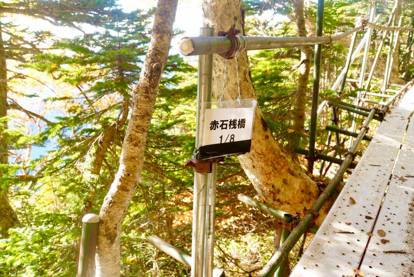 桟橋が8つね。😊