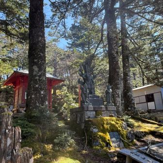 ビビリやよってに😂 全ての物に🙏