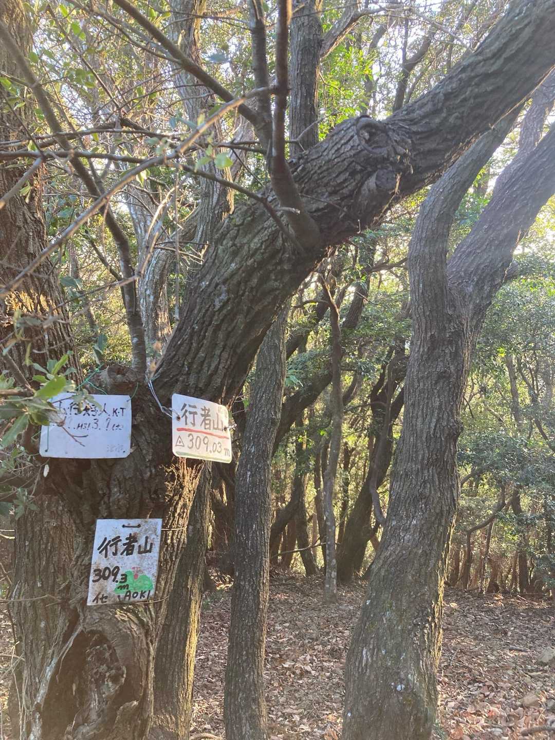 暮れてきたね！
いつも帰りは走りますw😎