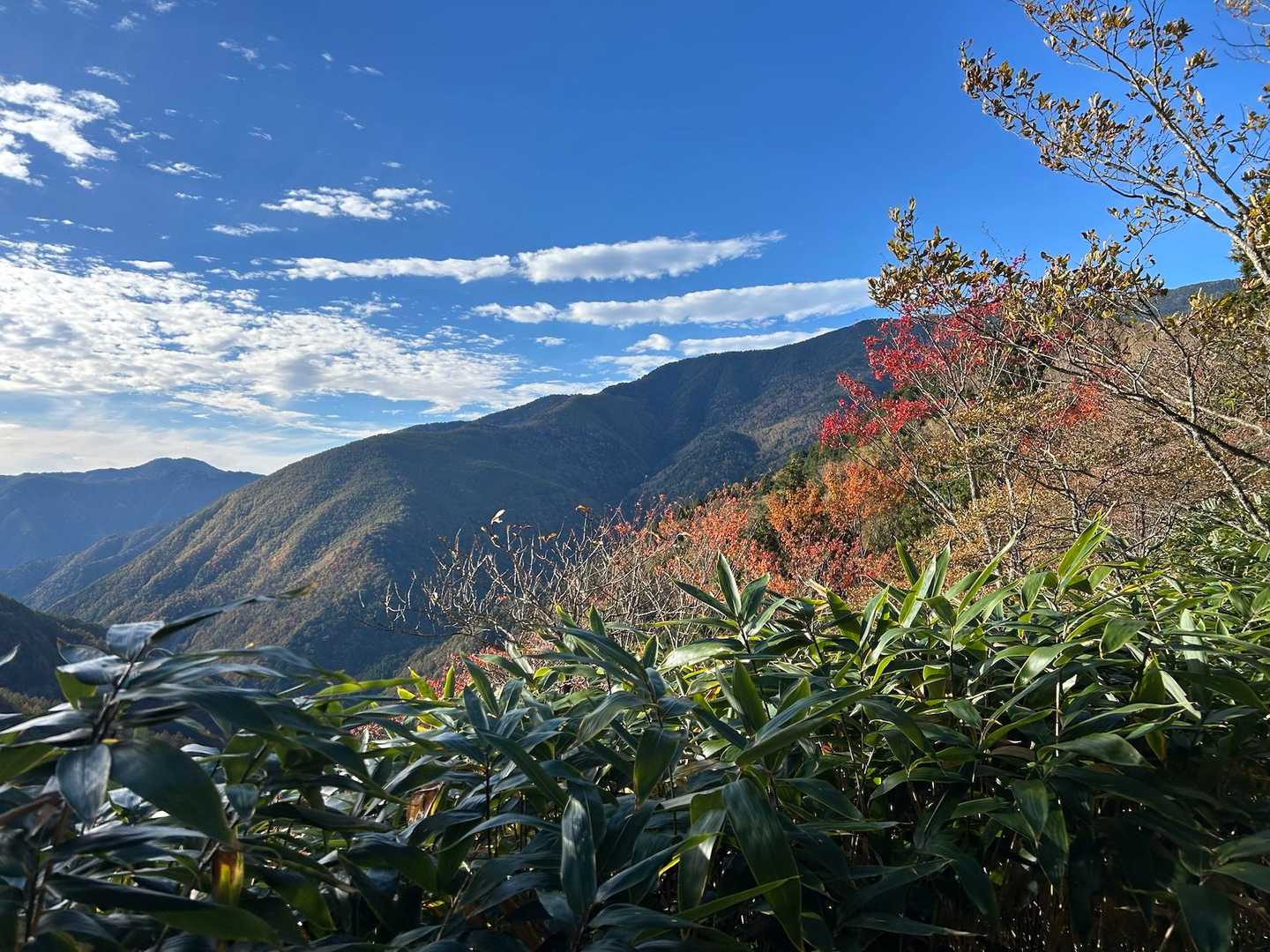 山と紅葉🍁撮したいけど‥ほとんどが、
逆光で山が暗くなってしまう😢
笹薮多い目と紅葉のshot ！
青空推しで💙

TOP画