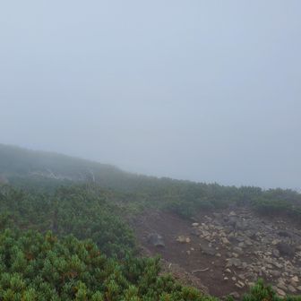 台座ノ頭　山頂
2795m
標柱は無し