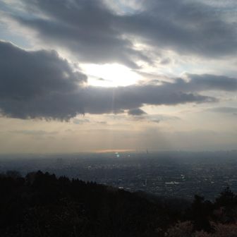 海が光っていてキレイ