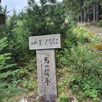 馬の背平