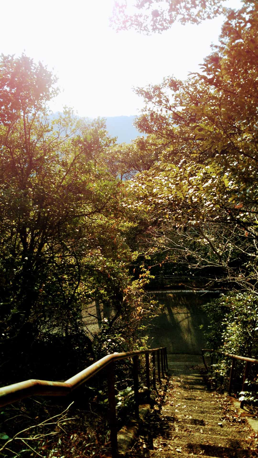 金峰山登山口-金峰山 周回コースの写真